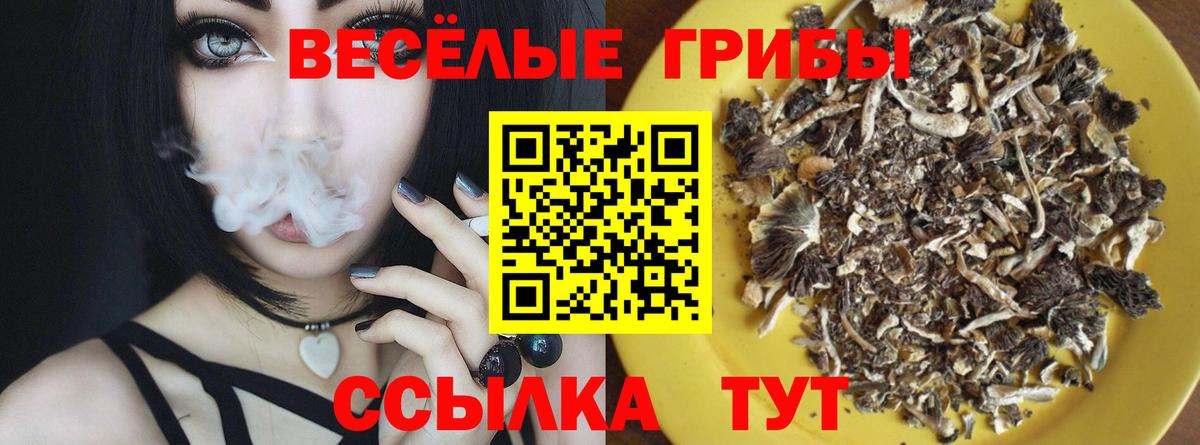 Псилоцибиновые грибы мицелий Тольятти